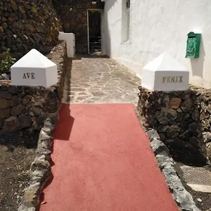 https://centro-ave-fenix.in-canary-islands.com